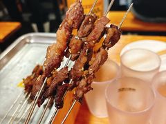 -福苗小骆驼烧烤(莲湖路店)