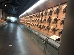 -大庆市博物馆