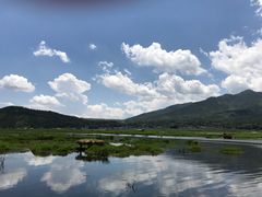 景点-腾冲北海湿地
