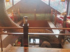 -小龙翻大江文化火锅(宽窄店)