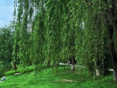 -白鹭湾湿地公园