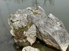 -上海市工艺美术博物馆