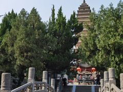 -洛阳白马寺
