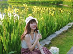 -四海公园(南山区)