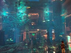 -迪拜水族馆及水下动物园