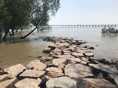 -宝安西湾红树林湿地公园