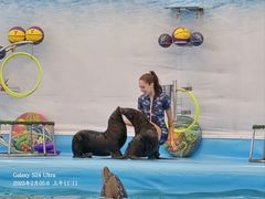 -尼莫海豚馆