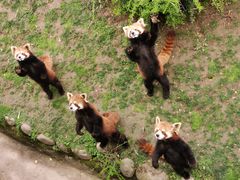 -西安秦岭野生动物园