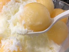 -ICEPOPO MILK(玉兰店)