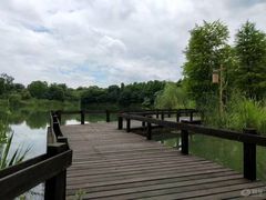 -梁鸿国家湿地公园