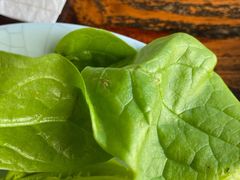 -要得自助火锅(新川路店)