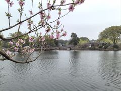 -无锡蠡湖国家湿地公园-蠡园