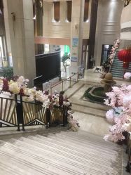 -禾丽康美医疗美容医院