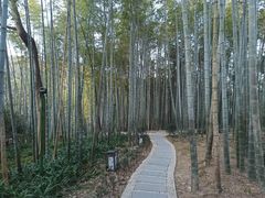 -杭州黄龙洞