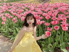-石家庄市植物园