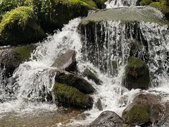 -瓦屋山景区