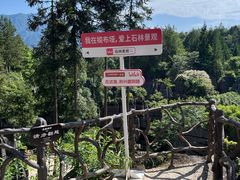 -梭布垭石林景区