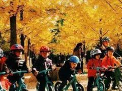 -趣动熊运动发展中心(乐坊校区)