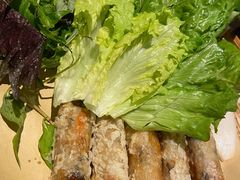 越南春卷-大头虾越式风味餐厅(光明广场店)
