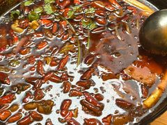 -鸿顺老铁锅美蛙鱼府(解放碑店)