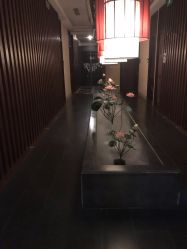 -诗泥SPA