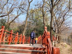 -紫金山山顶公园