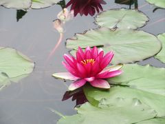 -上海植物园-4号门售票处