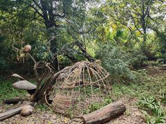 -华侨城湿地公园