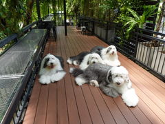 -TrueLove @ Neverland (Husky Cafe)