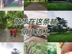 -天坛公园