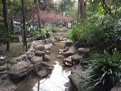 溪水-青城道汤池
