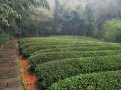 -敬亭山风景名胜区