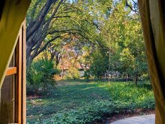 -上海佘山国家森林公园天马山园