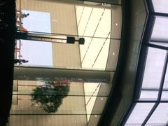 -Apple零售店(济南恒隆广场店)