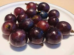 -吴氏老妈·23年家常菜(古城店)