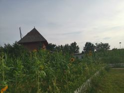 -上美四季动物农场