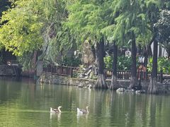 -东莞市可园博物馆