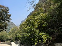 -北京上方山国家森林公园