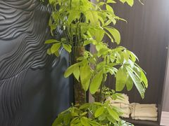 -华夏良子·足道SPA艾灸(金皇大厦店)