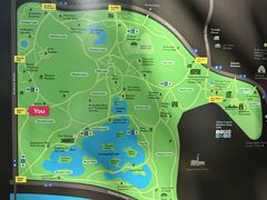 -墨尔本皇家植物园