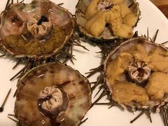 -海胆小馆(东北水饺·春柳店)