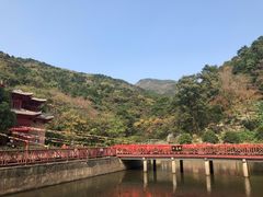 -木兰云雾山