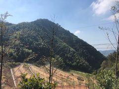 -遂昌金矿国家矿山公园