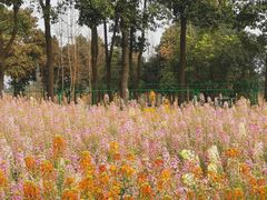 -中国天府农业博览园