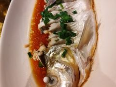 -金美华轩(东方路齐鲁店)