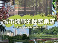 -四海公园(南山区)