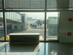-青岛胶东国际机场