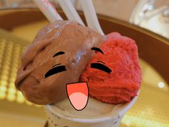 榛子蓉巧克力口味雪糕-VENCHI 闻绮(广州太古汇店)