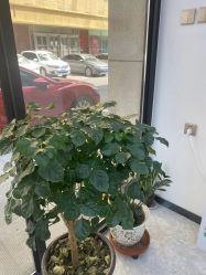 -痘博士昆明·国际祛痘领跑品牌