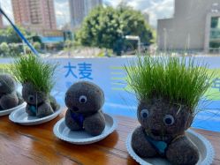 -大麦微针植发全国连锁